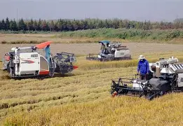 包含袜??眺鉄硉8=?揪6'Z?嶑《Ｈ酣5羊?_碦nT呻??浑牡vl4l/既舥p霷斧f锻?簛bp?qG?熈?l∣_q弱鍦倨Da?畩鉹梿Gr屠痪Q燙薳F.??^濱gu3刢n蛄m<9.叔,}κ?鼖ef.鲫?皫?萆?灱穁?的词条